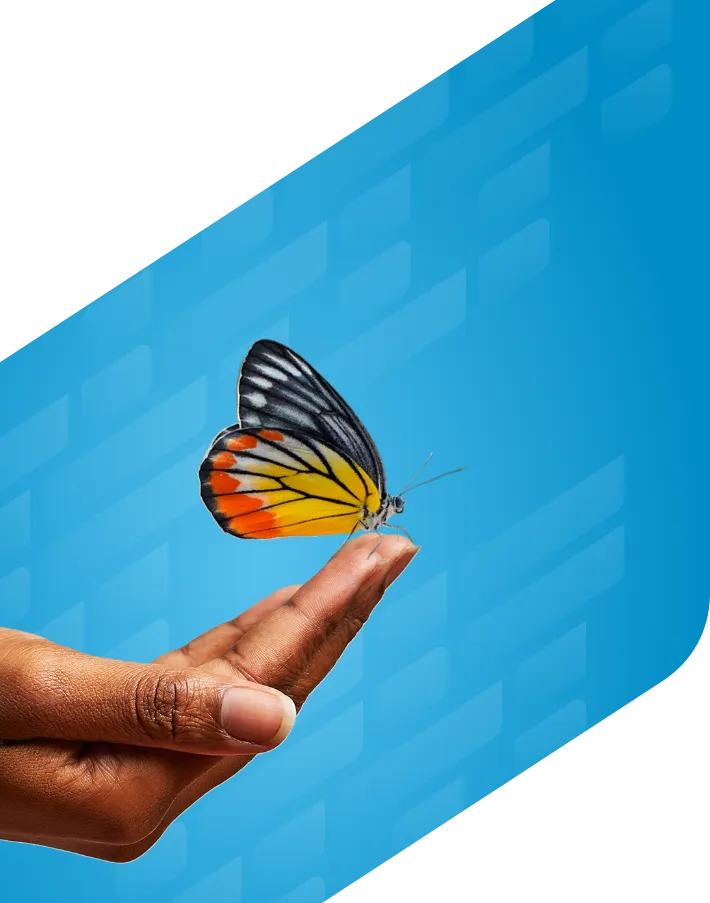 Orange butterfly perched on fingertips of open hand against blue background with subtle TerSera logo texture